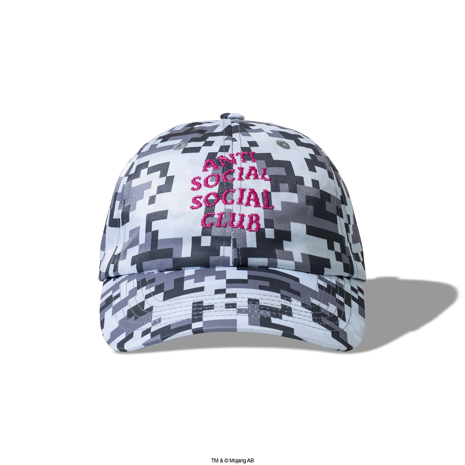 ASSC x MINECRAFT
